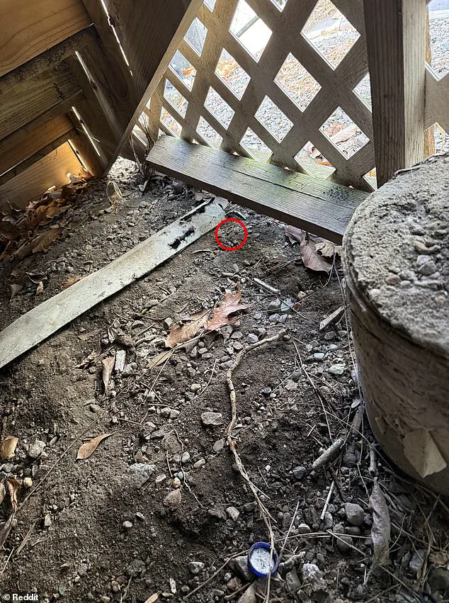 Desperate Husband's Urgent Plea on Reddit: Wedding Band Lost in Pile of Dirt Beneath Home