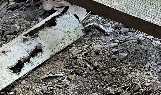 Desperate Husband's Urgent Plea on Reddit: Wedding Band Lost in Pile of Dirt Beneath Home