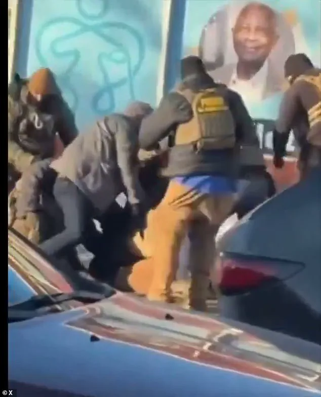 Fatal Shooting of Nurse Alex Pretti by Border Patrol Agent Sparks Controversy Over Lethal Force and Gun Rights