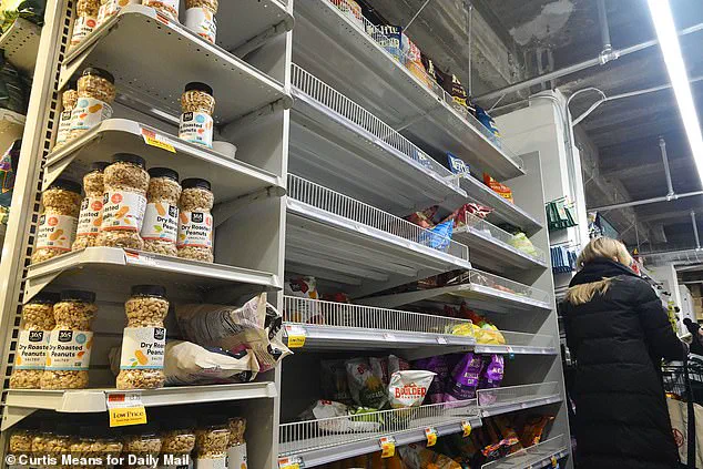 Winter Storm Fern Brings Panic Buying to NYC Grocery Stores