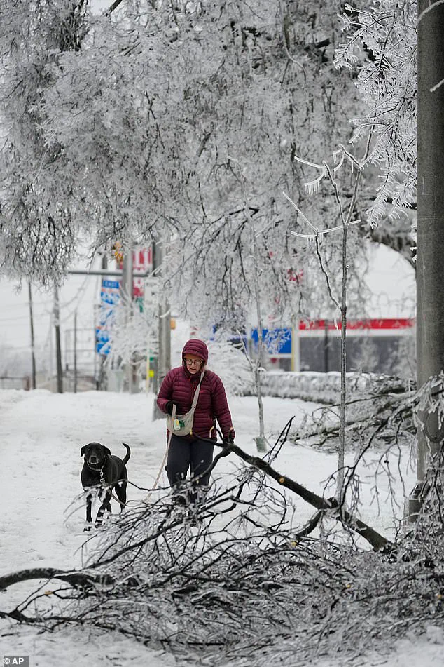 Winter Storm Fern Expected to Cost Over $100 Billion, 16 Dead After Battering 17 States