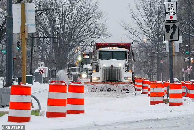 Winter Storm Fern's Reign: Princess Cat's Battle to Clear DC's Roads in Glittering Tiara