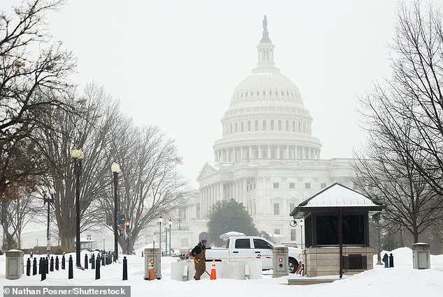 Winter Storm Fern's Reign: Princess Cat's Battle to Clear DC's Roads in Glittering Tiara