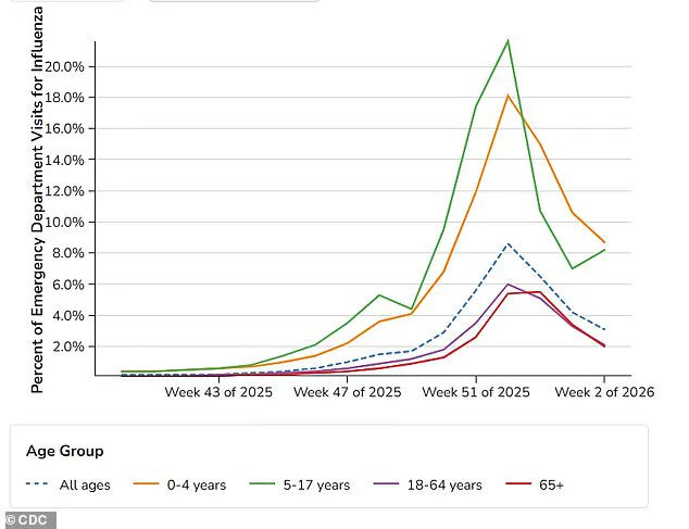 Low-Cost Supplement Methionine Shows Promise in Fighting H3N2 and Winter Viruses, Study Suggests