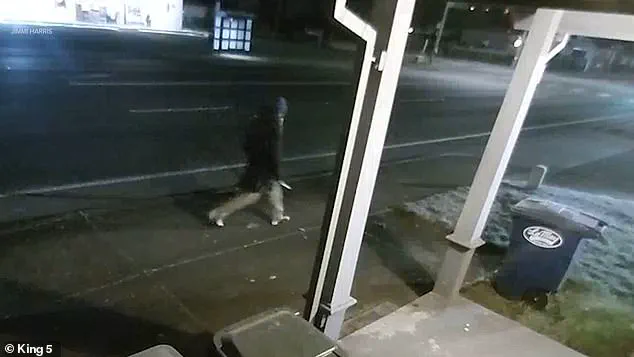 Violent Attack in Parkland, Washington Leaves Man and Dog Injured After Stranger Allegedly Targets Them for Faith