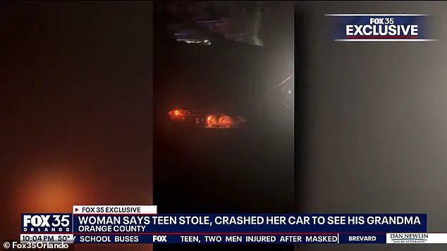 Bizarre Florida Carjacking Highlights Legal System's Struggle with Youth Crime and Public Safety Regulations