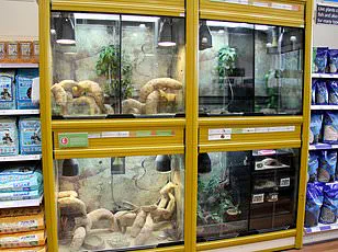 Navitas Organics Recalls 8-Ounce Organic Chia Seeds Over Potential Salmonella Contamination Concerns