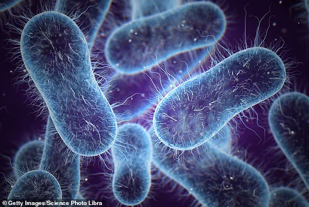 Navitas Organics Recalls 8-Ounce Organic Chia Seeds Over Potential Salmonella Contamination Concerns