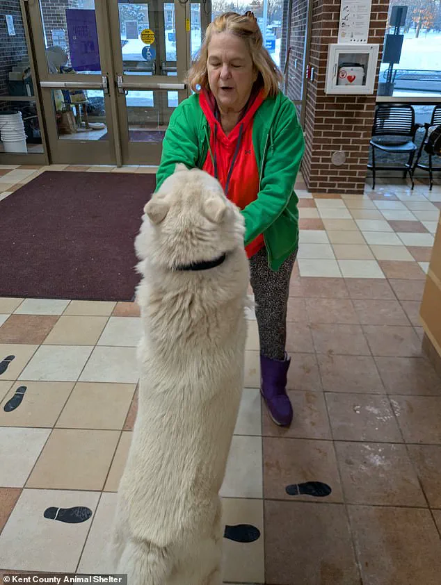 Exclusive: A Year-Long Search for a Lost Puppy - The Untold Story of Reunion and Resilience