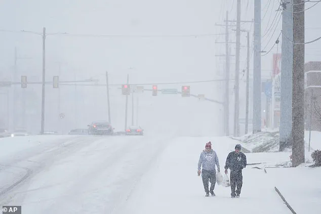 Winter Storm Fern Grips Nashville: Family's Struggle Highlights Survival Debate