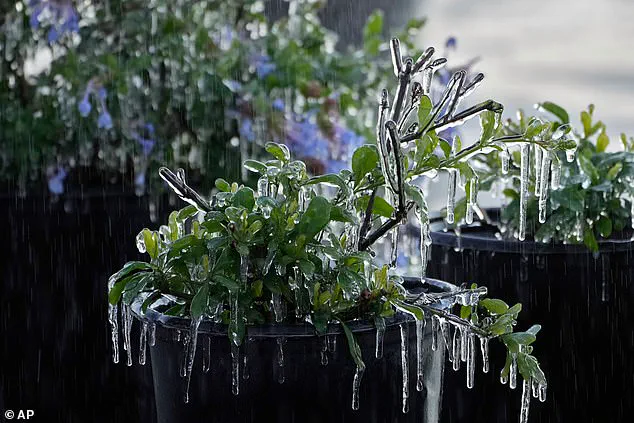 Exclusive Insights: 35 Million Americans Face Winter Storm Gianna as Limited Access to Critical Weather Data Sparks Concern