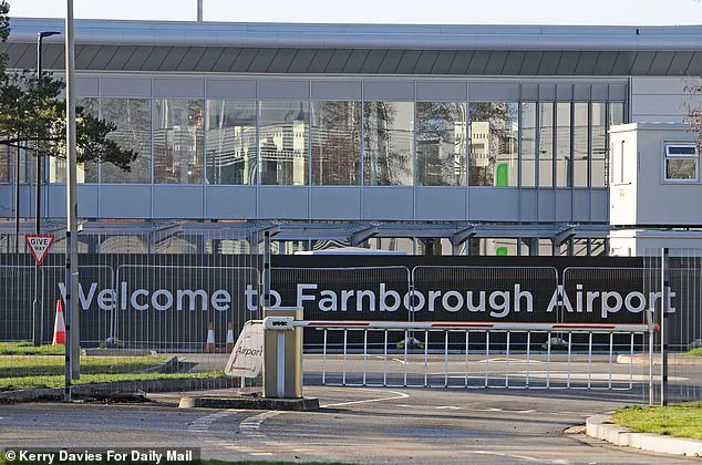 Pilot's Quick Thinking Avoids Bird Collision During Takeoff at Farnborough Airport