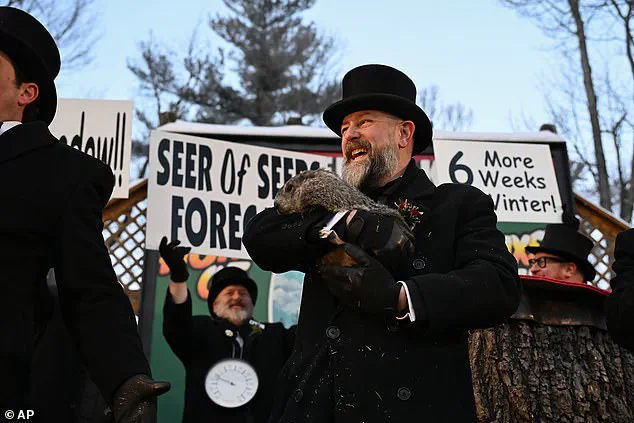 Punxsutawney Phil Spots Shadow, Predicts Prolonged Winter Amid Mixed Reactions