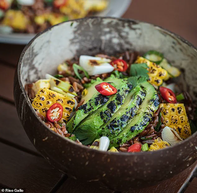 Warm and Hearty: The Surprising Benefits of Winter Salads