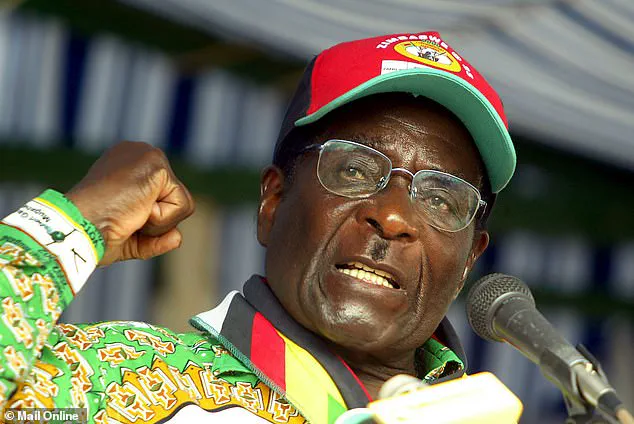 FBI Documents Expose Epstein as Putin and Mugabe's Wealth Manager, Facilitating Offshore Money Hiding