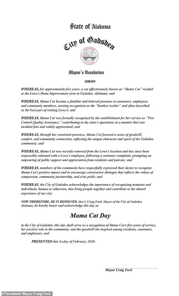 Beloved 'Quality Assurance Cat' Mama Cat Faced Outcry After Being Fired from Lowe's Store in Alabama