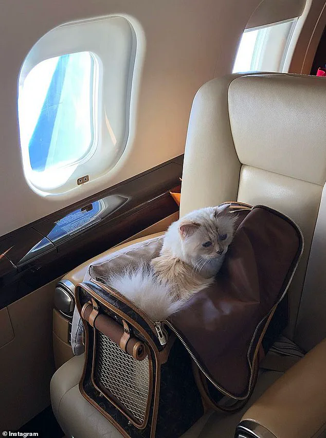 Estate Dispute Over Karl Lagerfeld's €200M Legacy: Will the Cat and Unusual Beneficiaries Prevail?