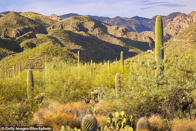 Challenging Manhunt for 84-Year-Old Nancy Guthrie in Arizona's Catalina Foothills