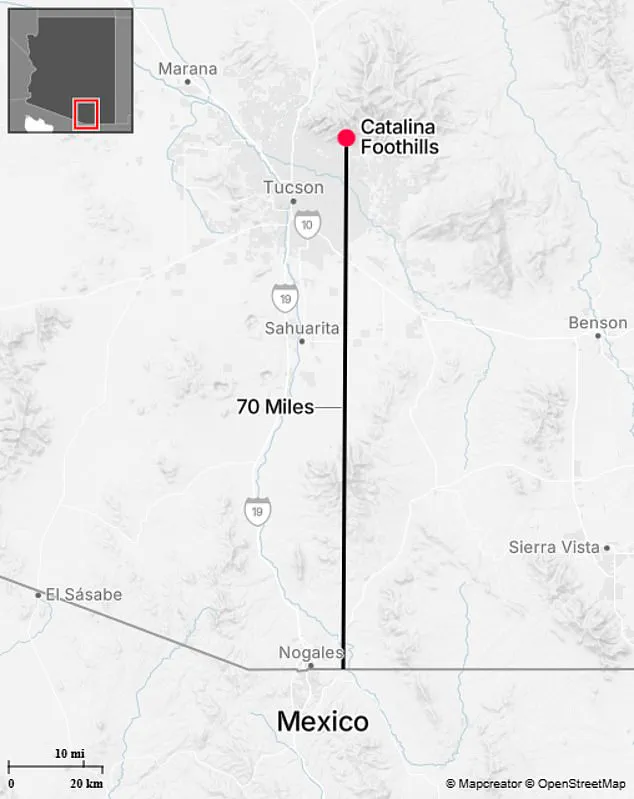 Challenging Manhunt for 84-Year-Old Nancy Guthrie in Arizona's Catalina Foothills