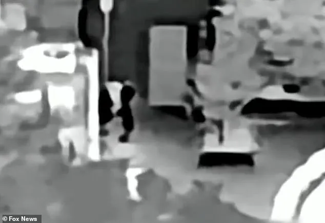 FBI Conducts Third Search of Missing Senior's Tucson Home as Kidnapping Investigation Escalates