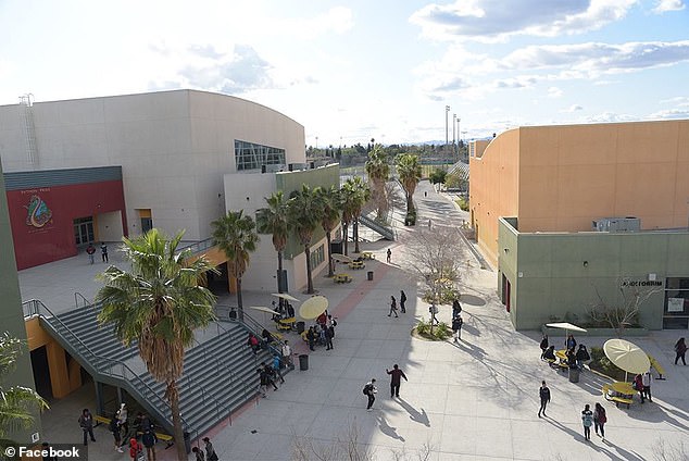 Accidental Pepper Spray Deployment Sends 30 Students to Hospital, Prompting Multi-Agency Response at Panorama High School