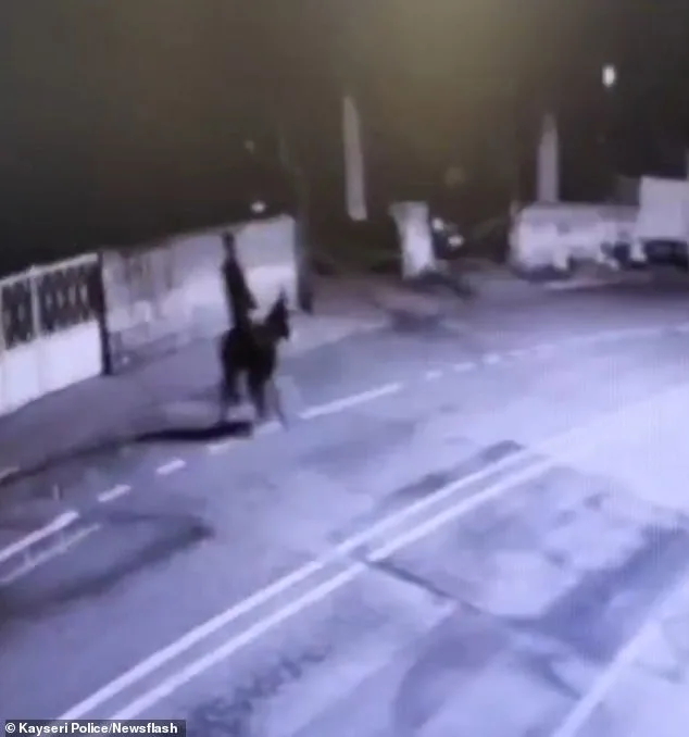 Bizarre Theft in Kayseri: Man Uses Forklift and Donkey to Loot Jewelry Shop