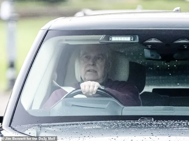 Disgraced Duke's Teddy Bear Collection Left in Storage After Relocation to Sandringham