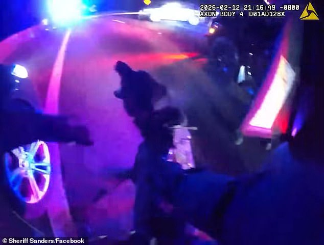 Washington State Deputies Use Police Grappler to Halt Drunk Driver in High-Speed Chase