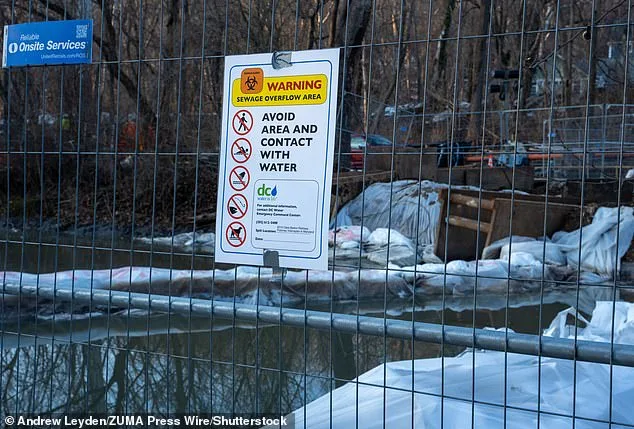 Catastrophic Sewage Spill in Potomac River Sparks Ecological and Political Crisis