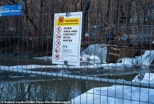 Catastrophic Sewage Spill in Potomac River Sparks Ecological and Political Crisis