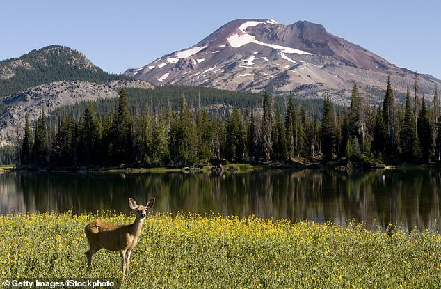 Oregon Campaign to Ban Hunting and Fishing Sparks Heated Debate Ahead of November Vote