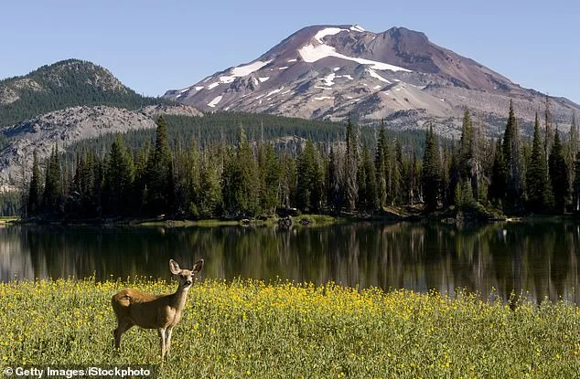 Oregon Campaign to Ban Hunting and Fishing Sparks Heated Debate Ahead of November Vote
