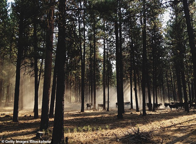 Oregon Campaign to Ban Hunting and Fishing Sparks Heated Debate Ahead of November Vote