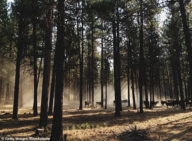 Oregon Campaign to Ban Hunting and Fishing Sparks Heated Debate Ahead of November Vote