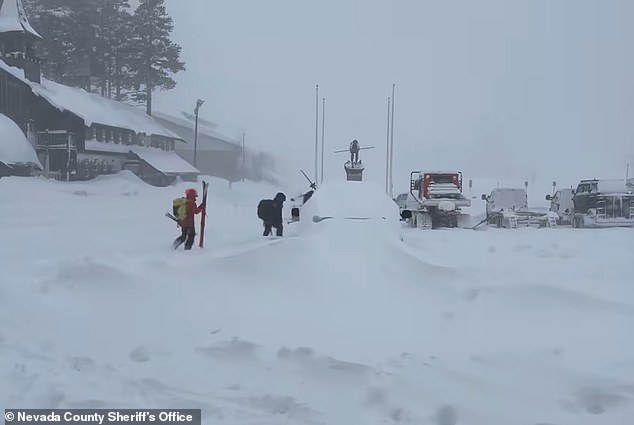 Parents' Private Ski Excursion and the Castle Peak Avalanche: A Tragedy of Ambition and Nature