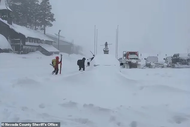 Parents' Private Ski Excursion and the Castle Peak Avalanche: A Tragedy of Ambition and Nature