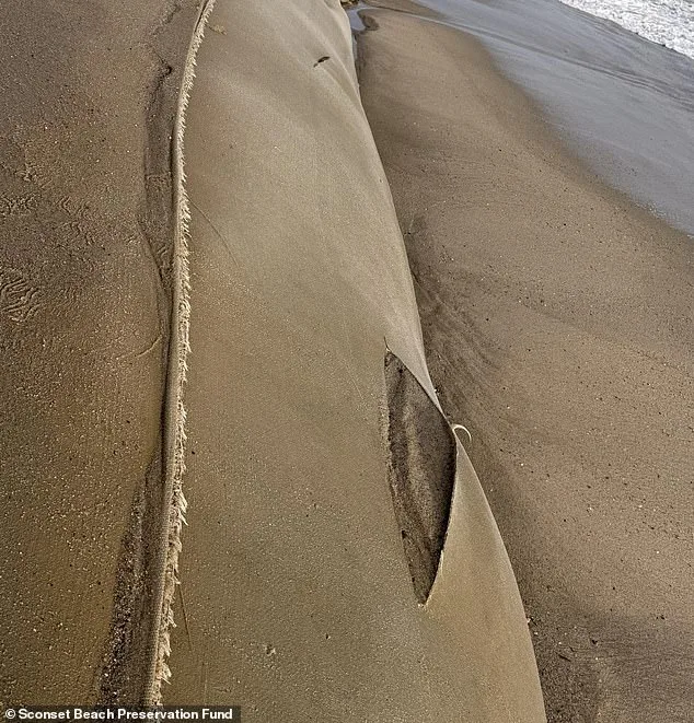 Nantucket Offers $10K Reward for Vandalism Destroying Erosion-Protecting Geotubes