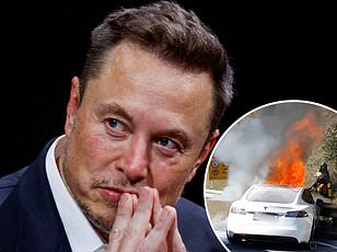 Tesla Ordered to Pay $250 Million After 2019 Crash Killing Naibel Benavides Leon, Shaping Future of Autonomous Driving