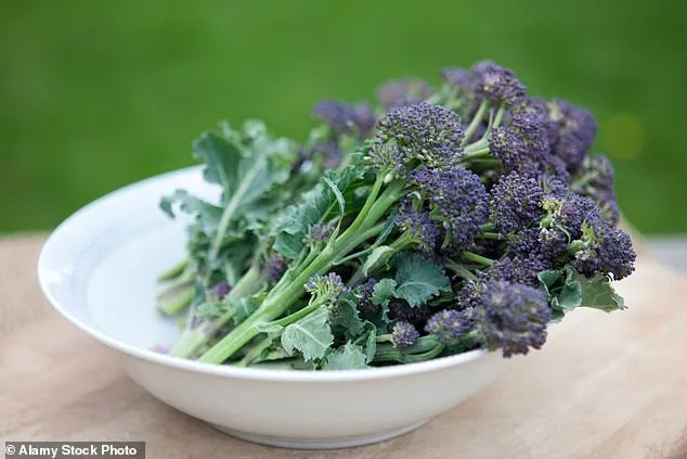 The Surprising Health Benefits of Broccoli: From Ancient Roots to Modern Superfood