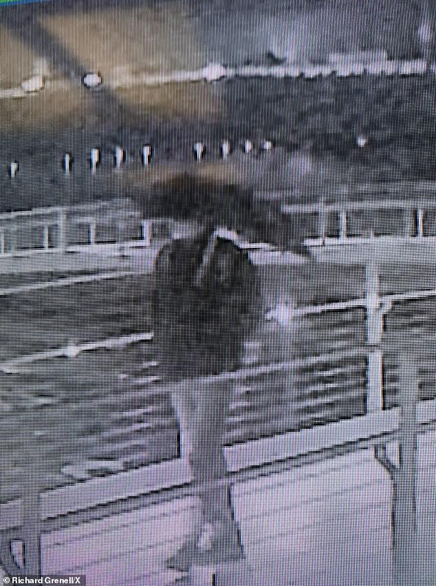 Vandalism at Trump Kennedy Center: Grenell Seeks Public Help to Identify Suspect Amid Claims of Democratic 'Cancel Culture' Campaign