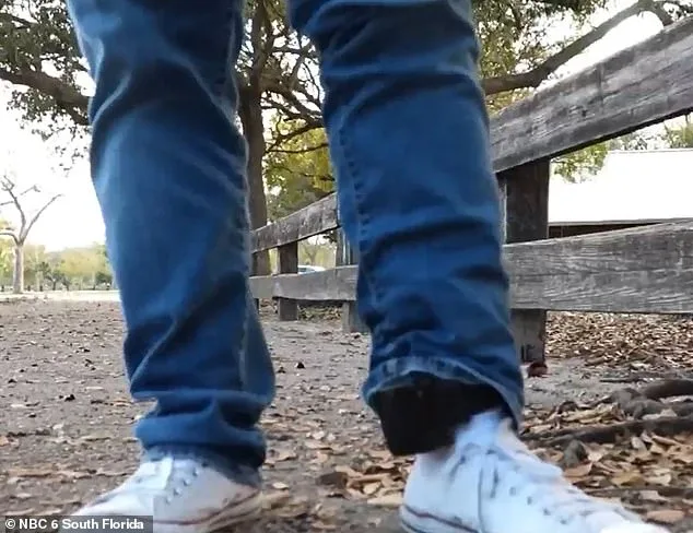 Legal Professional's 30-Day Ordeal After CBP Detention Despite Valid Documents