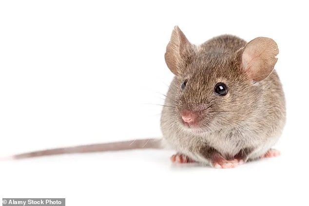 Cancer Survivors' Lower Dementia Risk Tied to Cystatin C Protein, Study Finds