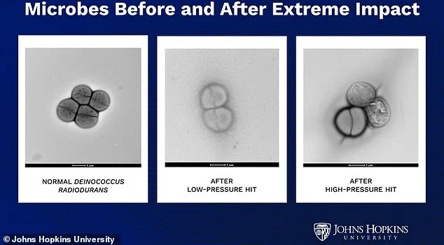 Asteroids as Cosmic Ferries: New Study Suggests Life Traveled Between Planets via Space Rocks