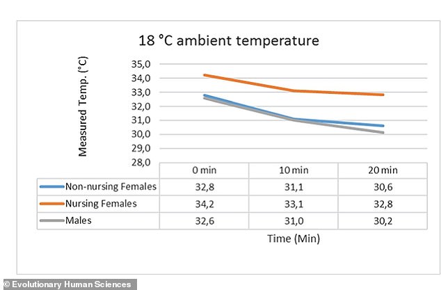 Evolutionary Purpose of Human Breast Size: Study Reveals Thermal Protection for Newborns