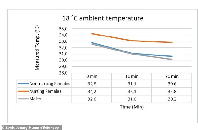 Evolutionary Purpose of Human Breast Size: Study Reveals Thermal Protection for Newborns