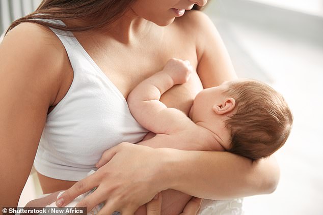 Evolutionary Purpose of Human Breast Size: Study Reveals Thermal Protection for Newborns