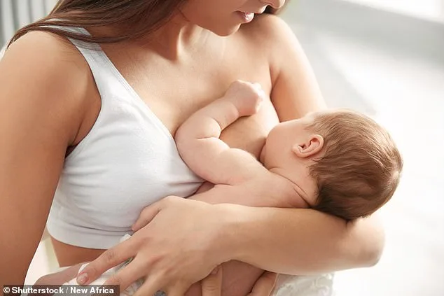 Evolutionary Purpose of Human Breast Size: Study Reveals Thermal Protection for Newborns