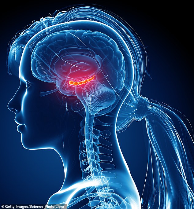 From Myth to Reality: Brain Regeneration and Lifestyle's Impact on Dementia Prevention