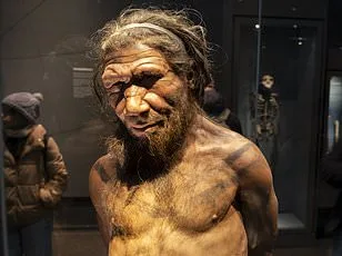 Male Neanderthals and Female Homo Sapiens Dominated Ancient Human Interbreeding, Study Finds