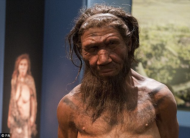 Male Neanderthals and Female Homo Sapiens Dominated Ancient Human Interbreeding, Study Finds